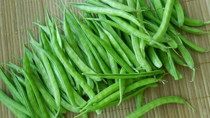 Benefits Of Guar Beans: पेट से जुड़ी समस्याओं का इलाज है ग्वार फली, जानिए 3 जबरदस्त फायदे