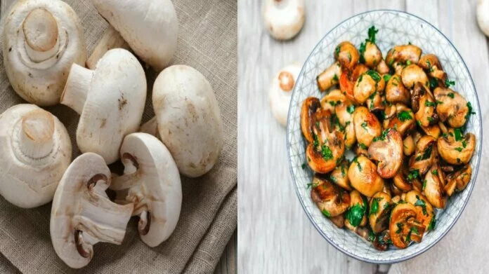 Benefits of Mushrooms: ताकत बढ़ाना है तो इस तरह खाएं मशरूम,जानिए इससे मिलने वाले 4 गजब के फायदे