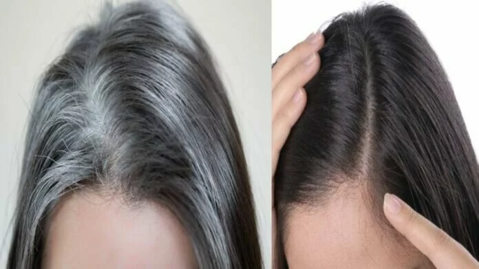 Black Hair Shampoo: घर पर 5 मिनट में बनाएं ये शैंपू, सफेद बालों को जड़ से बना देगा काला