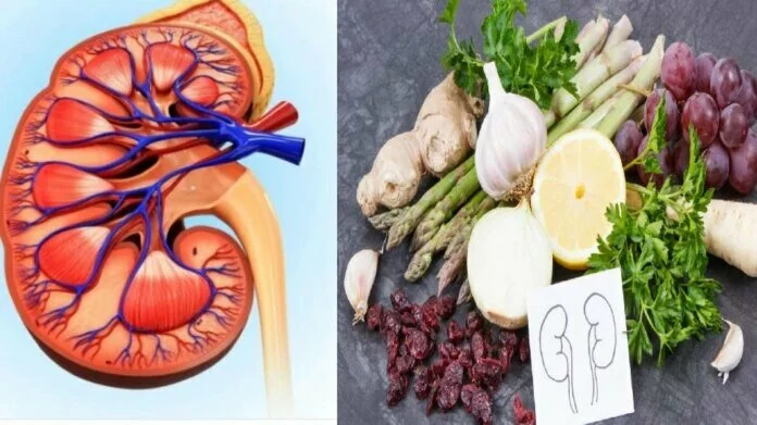 Food for kidney: किडनी को साफ करके स्वस्थ रखते हैं ये 5 फूड, डाइट में शामिल करने से मिलेगा फायदा