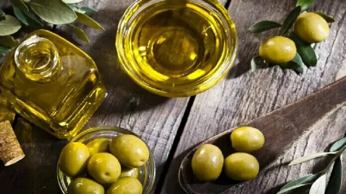 Olive oil for hair: झड़ते बालों का इलाज है यह 1 तेल, बस जान लीजिए उपयोग का सही तरीका