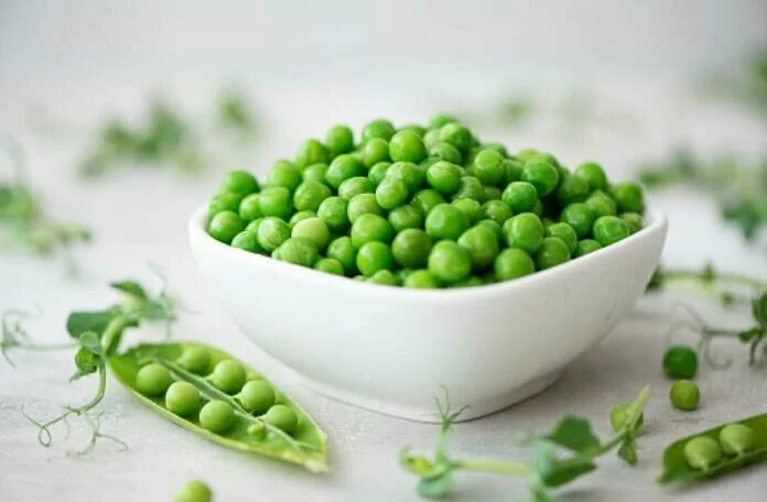 Benefits of Green Peas: सर्दियों में खूब खाएं हरी मटर, जो आपकी सेहत को स्वस्थ रखने में काफी मदद करता