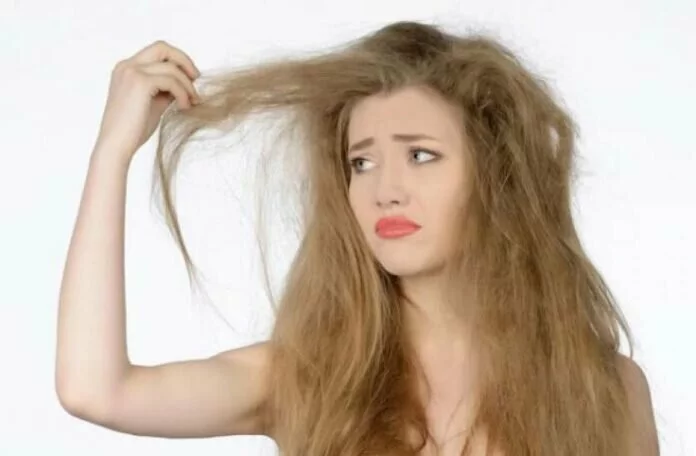 Home Remedies For Frizzy Hair: फ्रिजी बालों से छुटकारा दिला सकते हैं ये उपाय