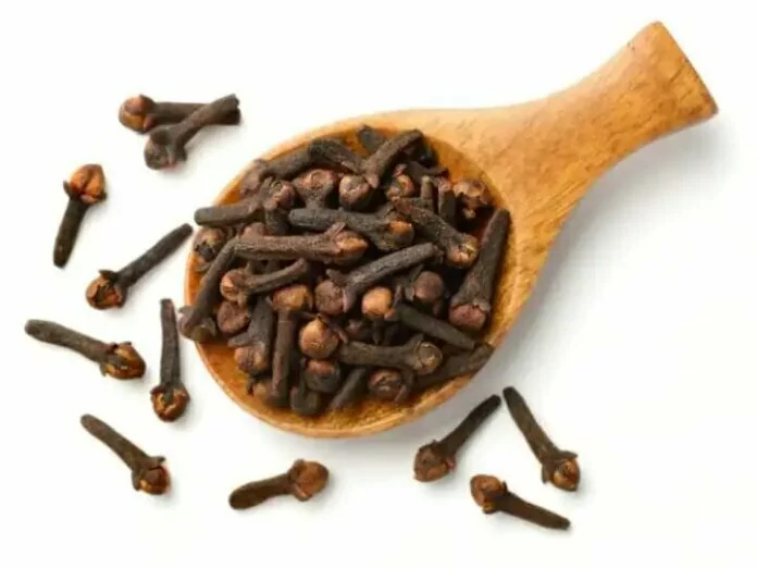 हेल्थ के साथ Skin का भी ख्याल रहती है Cloves, इस तरह करें इस्तेमाल