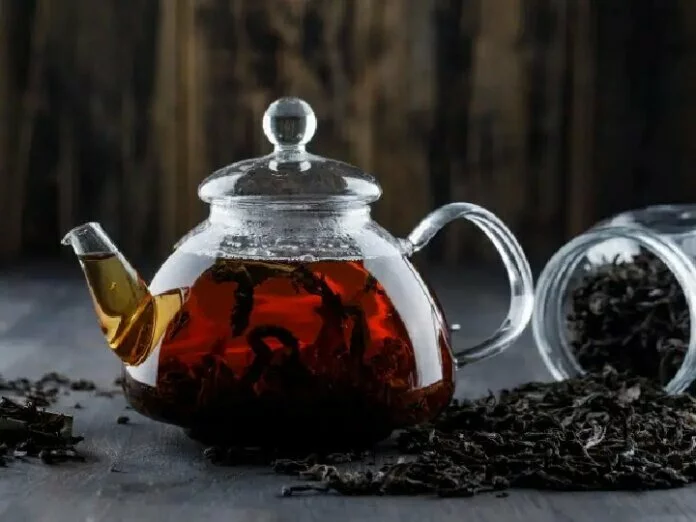 Beauty Tips: स्किन के लिए बेहद लाभकारी है Black Tea का सेवन, मिलेगी ये ब्यूटी बेनिफिट्स