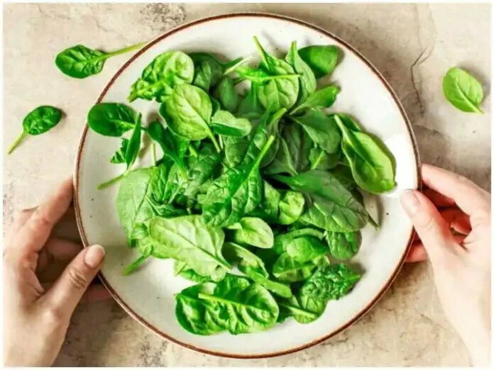 Health Tips: सर्दियों में करें Spinach का सेवन, Immunity होगी मजबूत