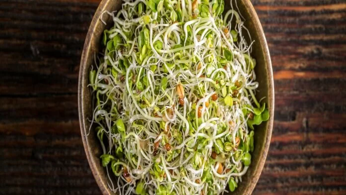 How to Eat Sprouts: कच्चे स्प्राउट्स को कभी भी न बनाएं डाइट का हिस्सा, इस तरह से खाना होगा बेहतर