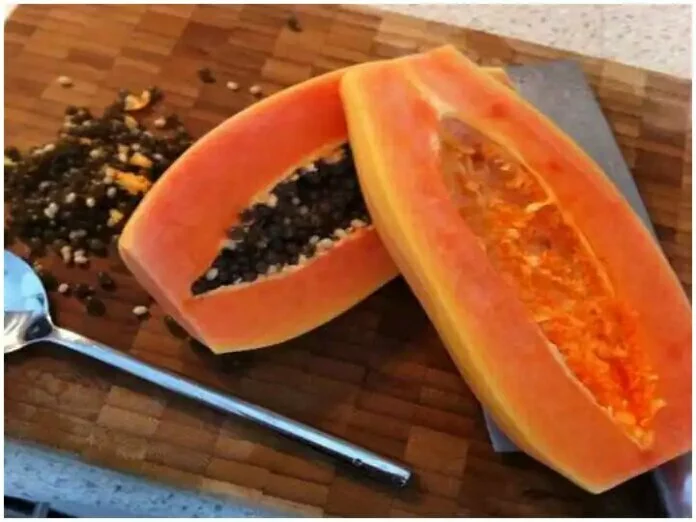 Weight Loss Tips: Papaya घटाता है वजन? इस तरह से डाइट में करें शामिल