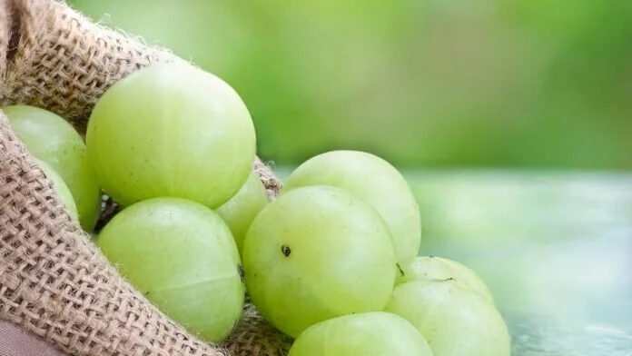 Amla Health Benefits: सर्दियों में 'सुपर फ्रूट' आंवला खाने से इन बीमारियों में मिलेगा फायदा