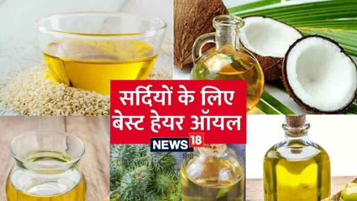 Best Oils For Hair: सर्दियों में हेयर केयर के लिए बेस्ट हैं ये 5 तेल, जानें फायदे